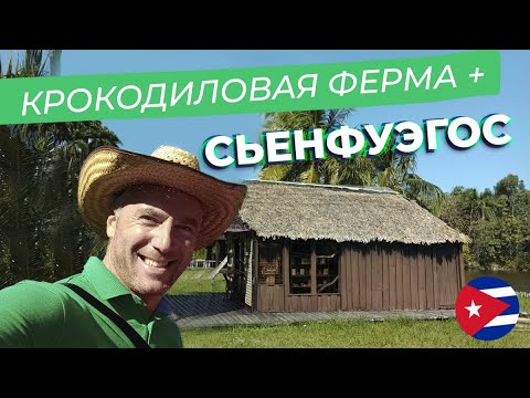 Видео: Крокодиловая ферма + Сьенфуэгос / Зоткингид
