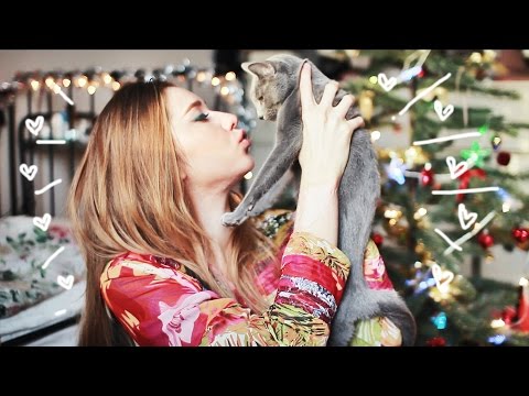 Видео: ЧТО Я ЛЮБИЛА | Декабрь 2015