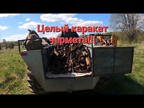 Видео: Накопали целый каракат металлолома.Металлокоп 2024г.