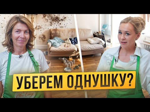 Видео: Генеральная уборка квартиры за 4 часа: от окон до химчистки дивана