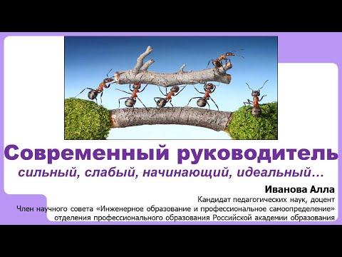 Видео: Современный руководитель: сильный, слабый, начинающий, идеальный…