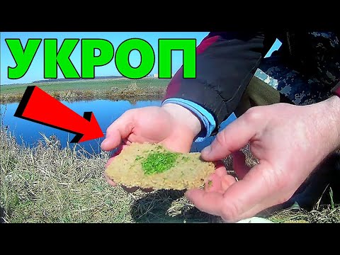Видео: Опустил под воду УКРОП. Реакция рыбы. Подводная съёмка.