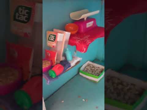 Видео: день сквиши собачек на даче мойка собак пошла не по плану