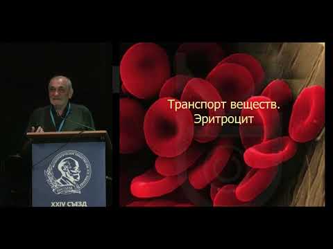 Видео: Пленарная лекция: акад. Ф.И. Атауллаханов (ЦТП ФХФ РАН) Физиология крови