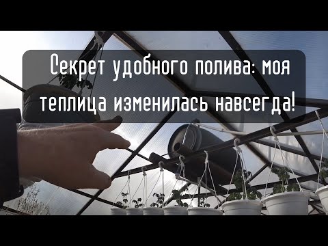 Видео: Горячая вода в теплице? Эта система спасла мои томаты и огурцы от болезней!