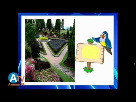 Видео: Предметтик тест. Англис тили. Жалпы маалымат.