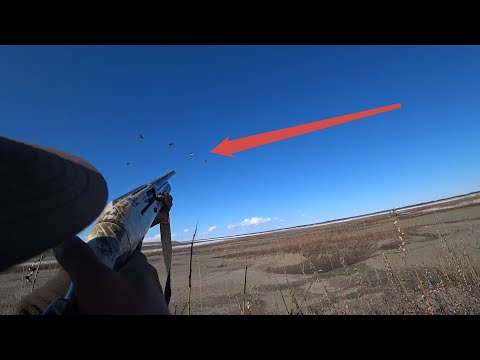 Видео: Охота на гуся в Якутии 1 серия