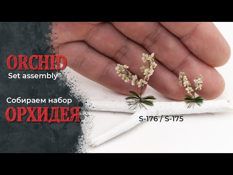 Видео: Орхидея фототравлёная - сборка