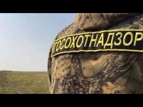 Видео: КАК РАЗГОВАРИВАТЬ С ОХОТИНСПЕКТОРОМ ...и не только