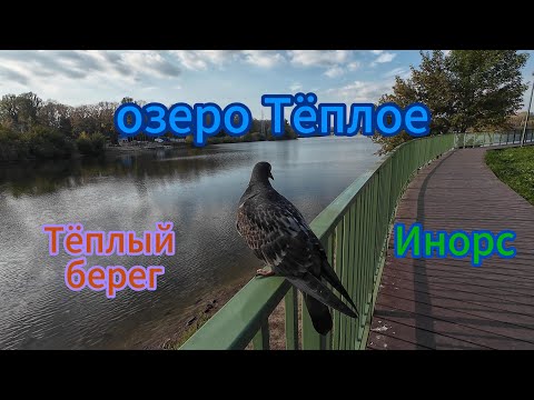 Видео: Теплое озеро, норма или нет, прогулка по скверу Тёплый берег 14 09 24