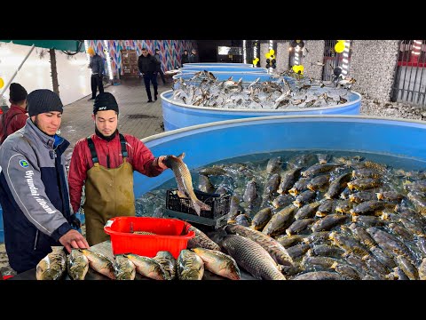 Видео: ВАУ!! 1000 Кг или 1 ТОННА РЫБЫ ПРОДАЕТСЯ в 10 Аквариумах. Популярная Уличная еда Узбекистана.