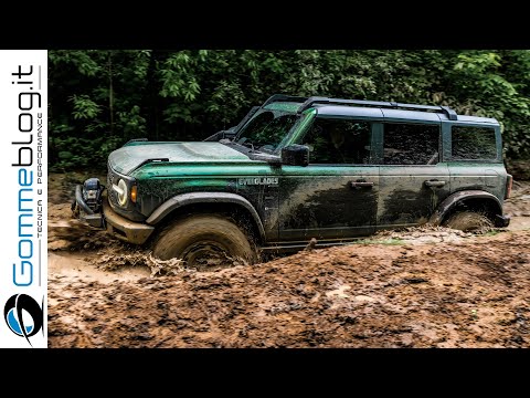 Видео: Тест Ford Bronco EVERGLADES на экстремальном бездорожье — это ЛУЧШЕЕ?
