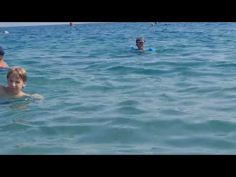 Видео: 14 октября 2025 г.
