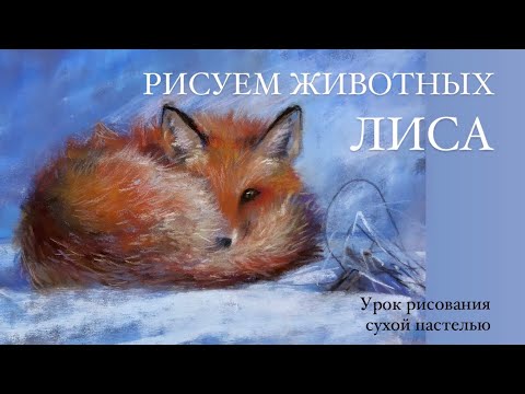 Видео: Рисуем животных. Лиса сухой пастелью. Урок рисования для начинающих