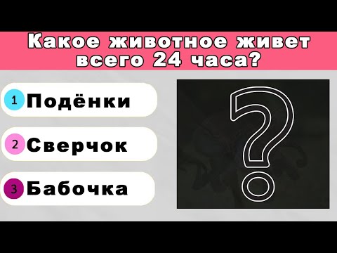 Видео: УГАДАЙ КАКОЙ ФАКТ ПРИНАДЛЕЖИТ ЖИВОТНЫМ🐼ЧЕЛЛЕНДЖ! ЧАСТЬ 3