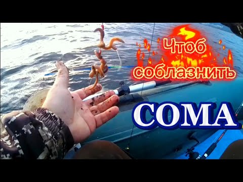 Видео: Эта наживка привлечëт СОМА. Точно!!! 
