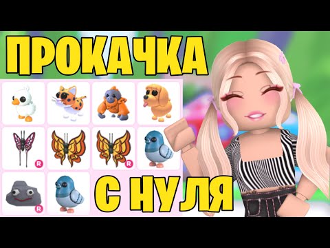 Видео: АДОПТ МИ С НУЛЯ! КАК ПРОКАЧАТЬСЯ В АДОПТ МИ? ОТ НУБА ДО ПРО! | Adopt me Roblox