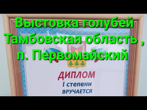 Видео: Отличная выстовка голубей прошла в п.Первомайское , отдельное спасибо организатору Попову А.И.