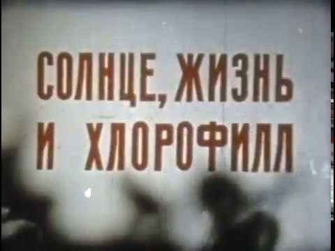 Видео: Солнце, жизнь и хлорофилл