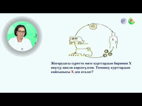 Видео: Биология 3 сабак