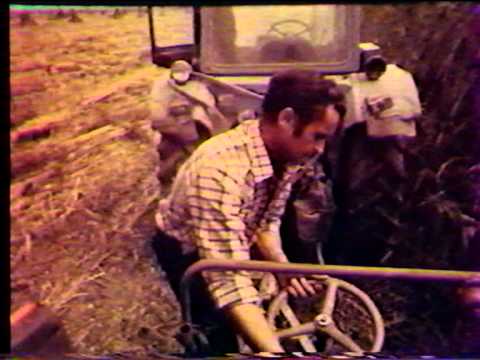Видео: Люди высокого долга / People with high responsibility