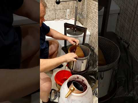 Видео: Октябрь наделали немного виноградного винца.