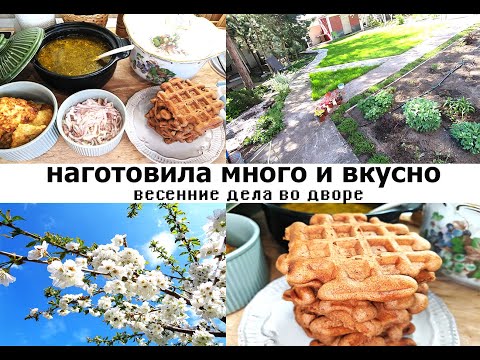 Видео: Наготовила много и вкусно - простые блюда на 2 дня!  Сад в начале мая - весенние дела во дворе!