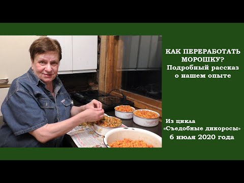 Видео: Как можно переработать морошку? Наш личный опыт.