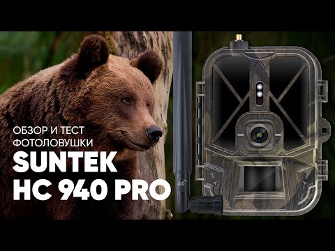 Видео: Обзор и тест лучшей фотоловушки 2022 года Suntek HC-940Pro-Li 4К | Amazin.Su