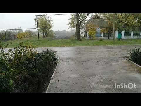 Видео: 26.10.25. Зливний ⛈️дощ 🌧️
