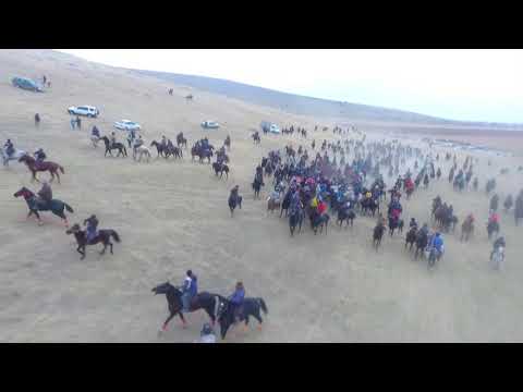 Видео: Баглан Бактыбай палуандар  акыргы салымдар