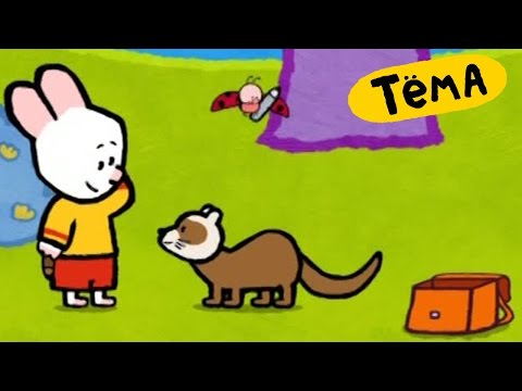 Видео: Рисунки Тёмы : Нарисуй хорька! Развивающий мультик для детей