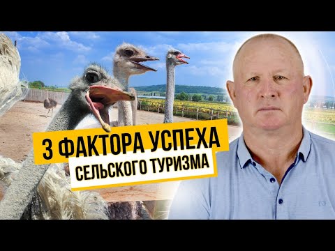 Видео: Страусы в домашних условиях | идея сельского бизнеса| Фермерское дело