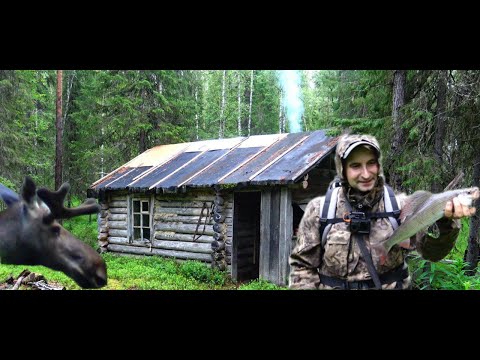 Видео: НОЧЁВКА В ЗАБРОШЕННОЙ ИЗБЕ.РЫБАЛКА В РУЧЬЕ.ВСТРЕЧА С ЛОСЕМ.