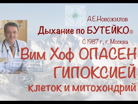 Видео: Вим Хоф ОПАСЕН дефицитом кислорода в клетках и митохондриях. А.Е.Новожилов. Дыхание по Бутейко.