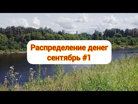 Видео: распределение денег. открою небольшую тайну. Сентябрь #1