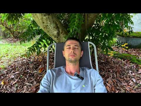 Видео: Практика 4