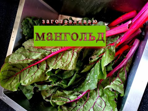 Видео: Заготавливаю мангольд на зиму. ////I'm preparing chard for the winter.