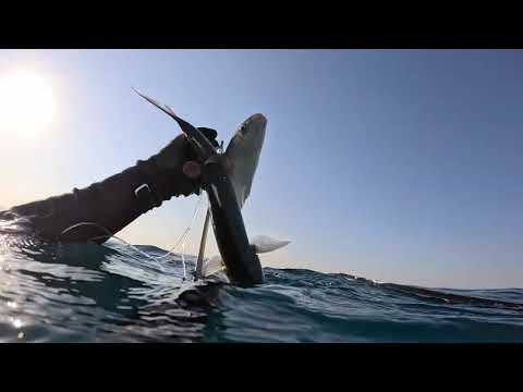 Видео: Средиземноморская подводная охота в 65 лет.Mediterranean Hunt at 65 in September 2025Pesca subacq 65