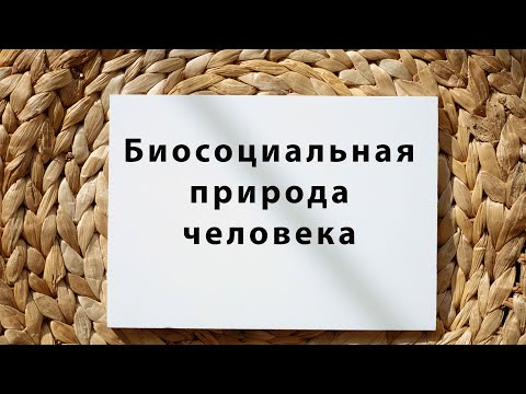 Видео: Биосоциальная природа человека. Подготовка к ЕГЭ по обществознанию