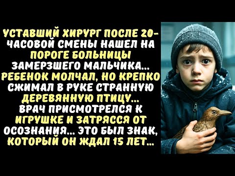 Видео: ХИРУРГ нашел на пороге БОЛЬНИЦЫ молчаливого МАЛЬЧИКА, а когда увидел ЕГО ИГРУШКУ...