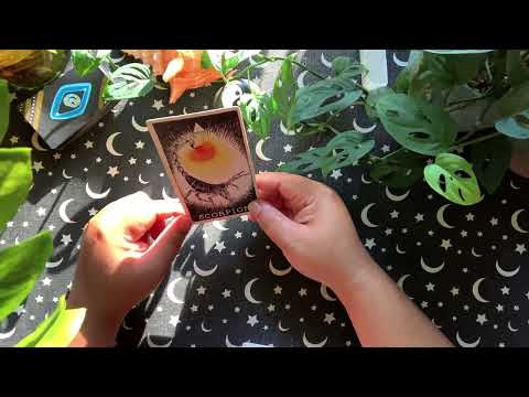 Видео: Близнецы ♊️ 👁️ Вознесение. ✨🦋