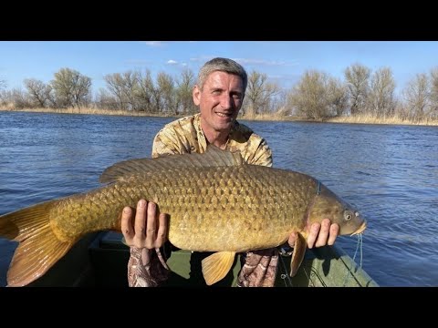 Видео: Рыбалка ШОК!!! САЗАН, АМУР, КАРП. Все без СЕКРЕТОВ #карпфишинг #белыйамур #сазан #флэтфидер