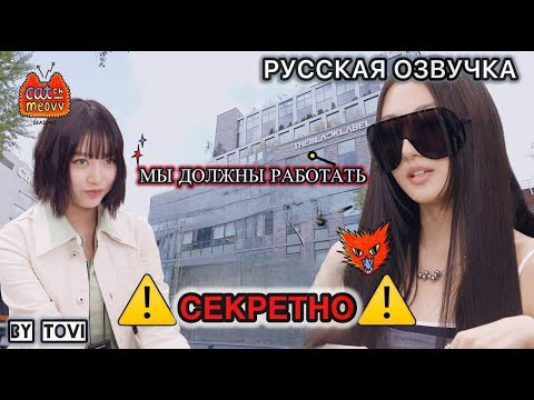 Видео: РУССКАЯ ОЗВУЧКА-  MEOVV - Meovv получили работу в офисе⚠️| EP.1 | CATCH MEOVV SEASON 2