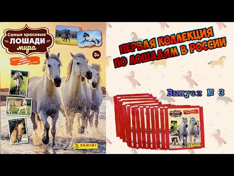 Видео: PANINI Альбом "Самые красивые лошади мира" 2023г.Распаковка 13 пакетиков. Попались одни повторки! №3