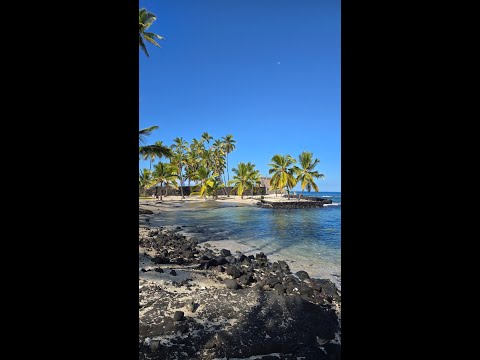 Видео: Day 3 - Наш первый снорклинг на Гавайях! Красочные рыбки и вечернее гавайское шоу