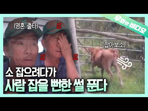 Видео: С какой стати он сидит под палящим солнцем...?