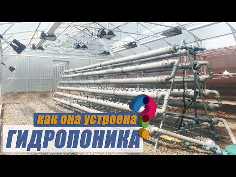 Видео: Как работает гидропоника 🍀