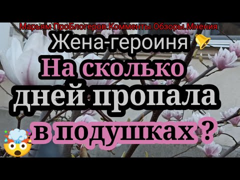 Видео: Жена Героиня.Не выйдет до 16ого?Донат дали,в панамку тоже накидали,да и муж где-то пропал.ФотоКамина