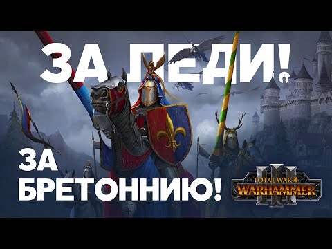 Видео: Бретонния. Фракции Total War Warhammer 3